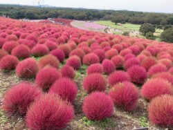 名所・旧跡・ミュージアム
