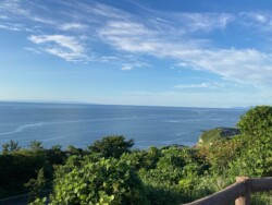 競馬場を巡る旅